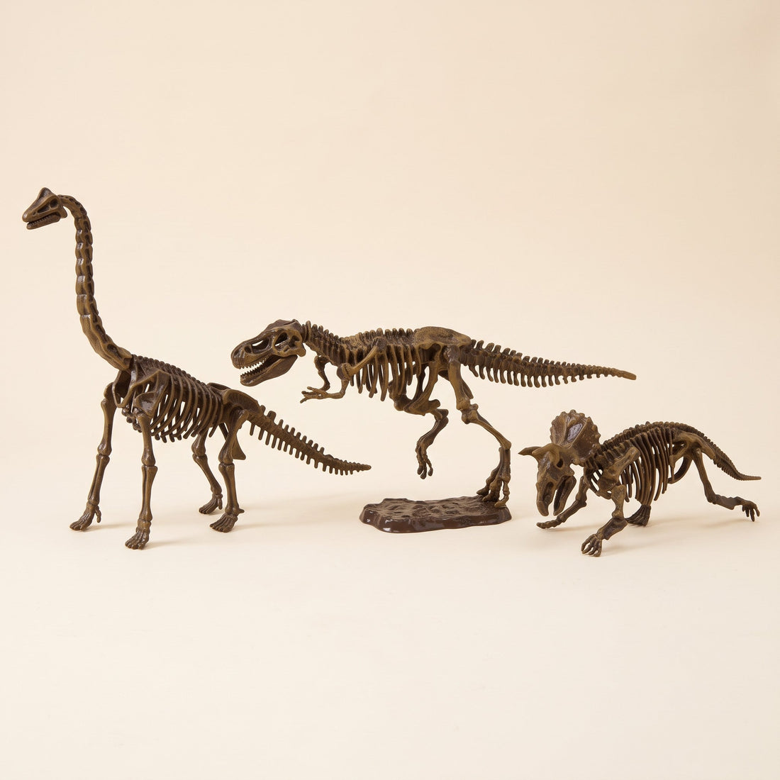 Dinosaur Excavation Kit