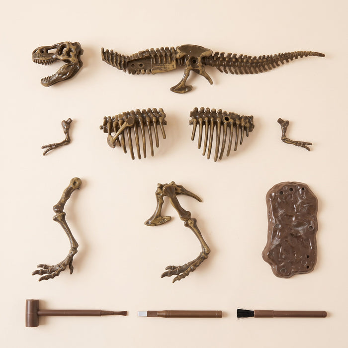 T. rex pieces laid out: skull, spine with tail, 2 rib sections, 2 arms, 2 legs and a stand, plus a mallet, chisel and brush